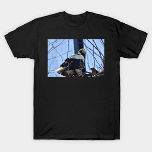 Stellar Sea Eagle T-Shirt